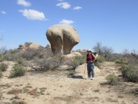 The Boulders